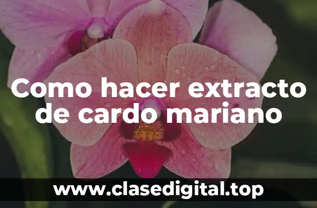 Como hacer extracto de cardo mariano