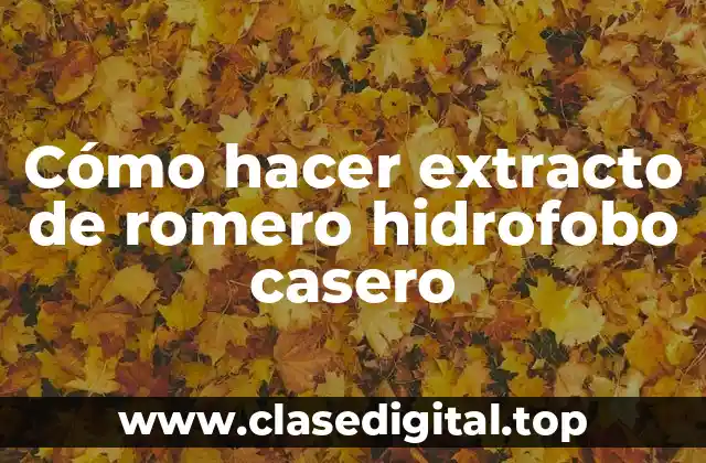 Cómo hacer extracto de romero hidrofobo casero