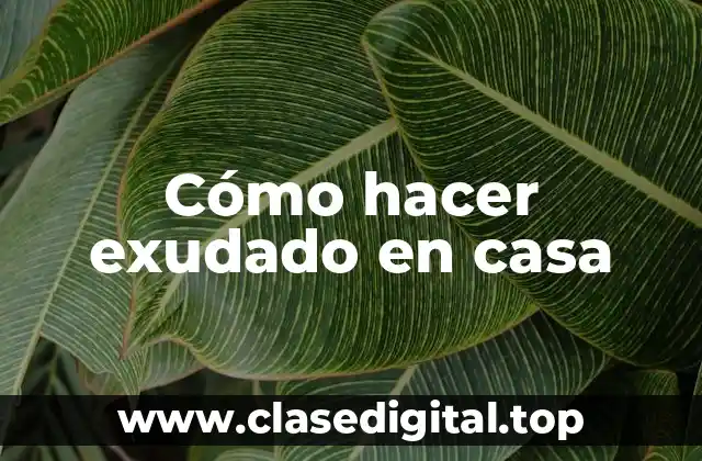 Cómo hacer exudado en casa