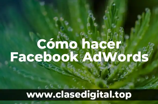 Cómo hacer Facebook AdWords