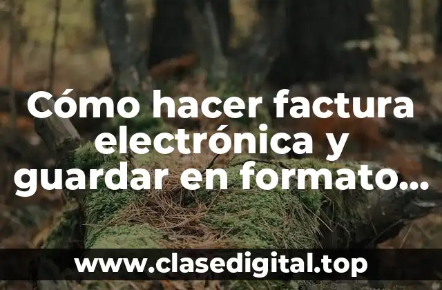Cómo hacer factura electrónica y guardar en formato XML
