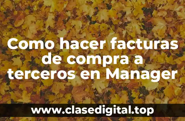 Como hacer facturas de compra a terceros en Manager
