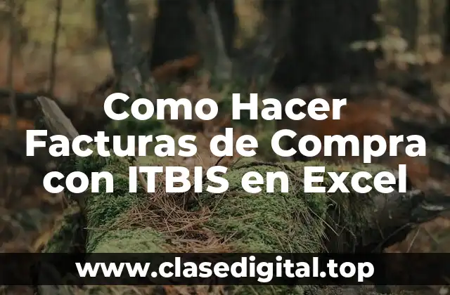 Como Hacer Facturas de Compra con ITBIS en Excel
