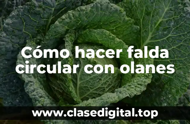 Cómo hacer falda circular con olanes