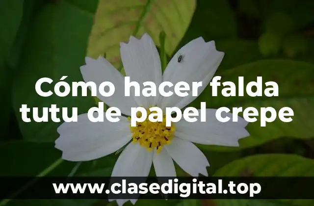 Cómo hacer falda tutu de papel crepe