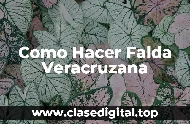 Como Hacer Falda Veracruzana