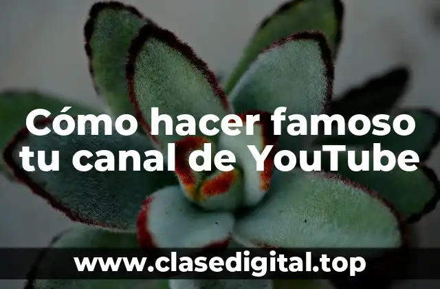 Cómo hacer famoso tu canal de YouTube
