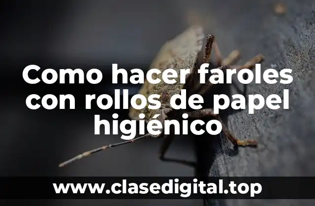 Como hacer faroles con rollos de papel higiénico
