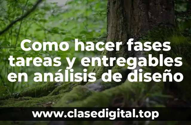 Como hacer fases tareas y entregables en análisis de diseño