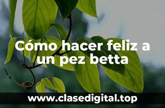 Cómo hacer feliz a un pez betta