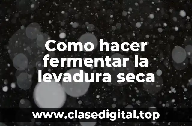 ¿Qué es la fermentación de la levadura seca y para qué sirve?