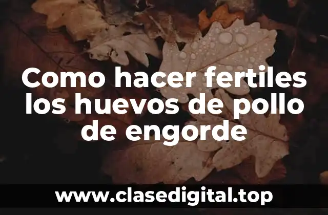 Como hacer fertiles los huevos de pollo de engorde