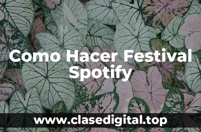 Como Hacer Festival Spotify