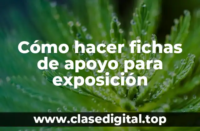 Cómo hacer fichas de apoyo para exposición