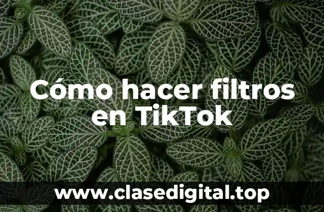 Cómo hacer filtros en TikTok