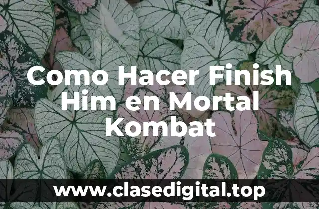 ¿Qué es un Finish Him en Mortal Kombat?