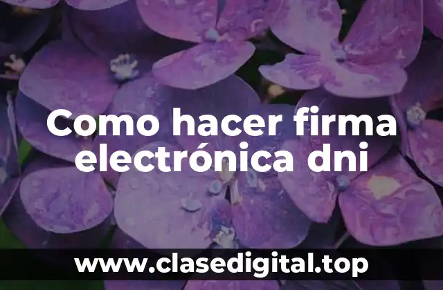 ¿Qué es una firma electrónica DNI?