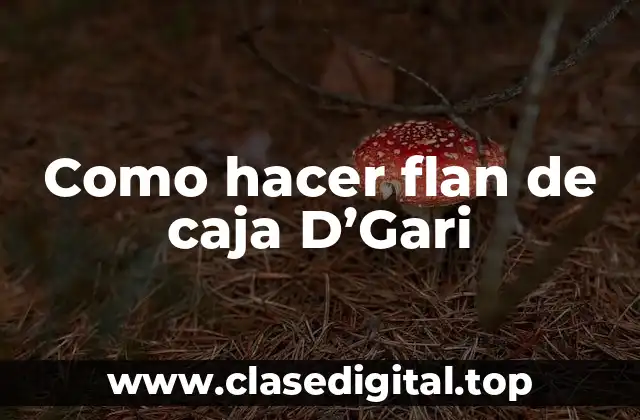 ¿Qué es el flan de caja D'Gari?
