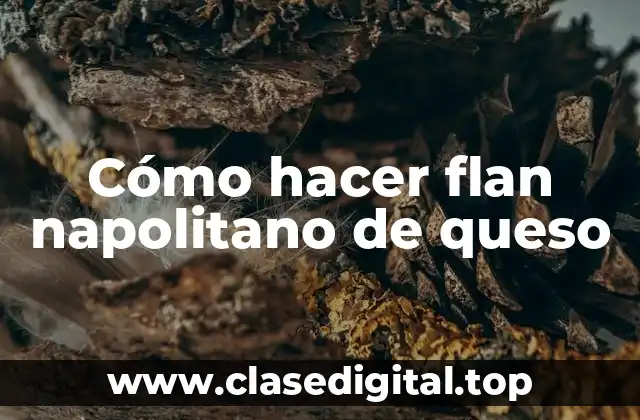 Cómo hacer flan napolitano de queso