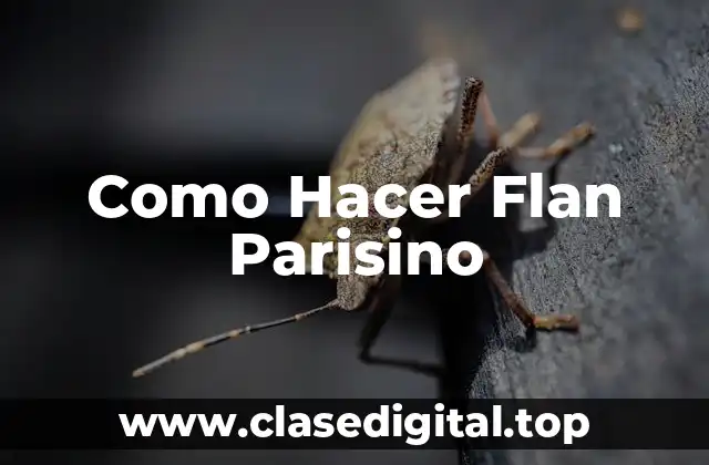 Como Hacer Flan Parisino