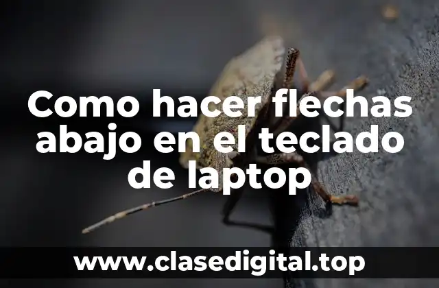 Como hacer flechas abajo en el teclado de laptop