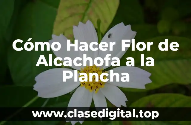 Cómo Hacer Flor de Alcachofa a la Plancha