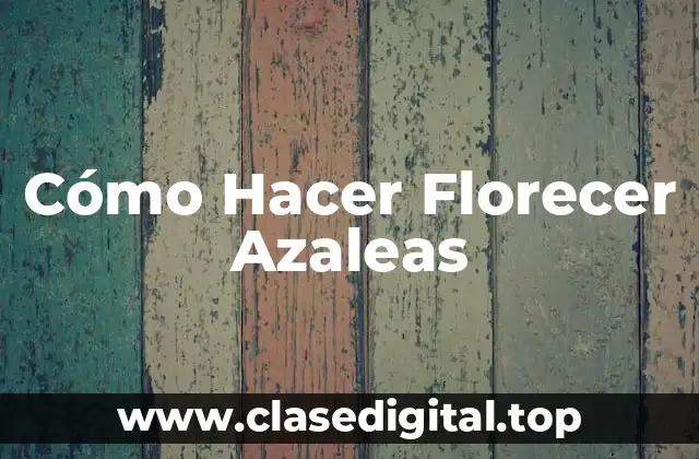 Cómo Hacer Florecer Azaleas