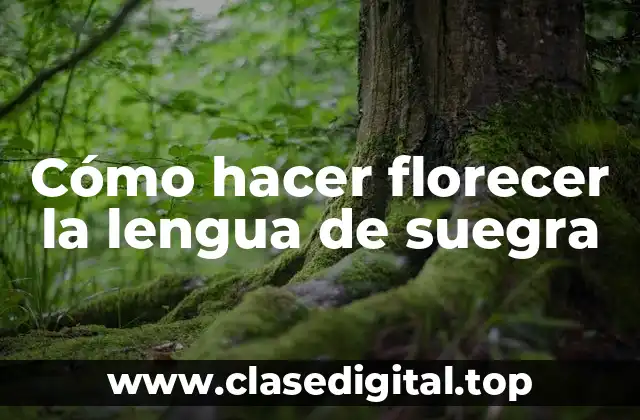 ¿Qué es la lengua de suegra y para qué sirve?