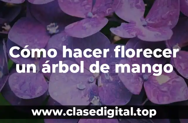 Cómo hacer florecer un árbol de mango