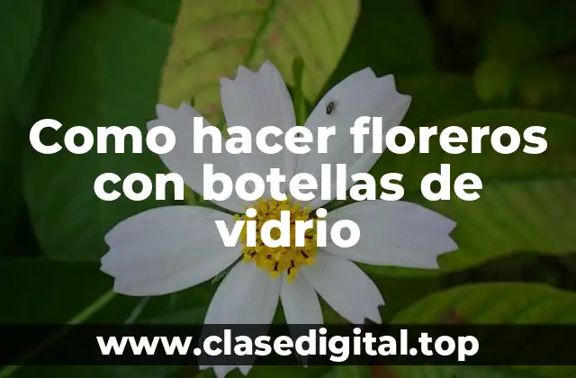 ¿Qué es un florero con botellas de vidrio y para qué sirve?