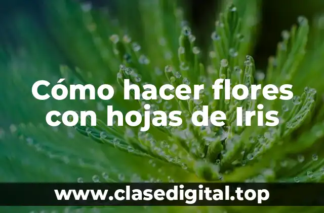 Cómo hacer flores con hojas de Iris