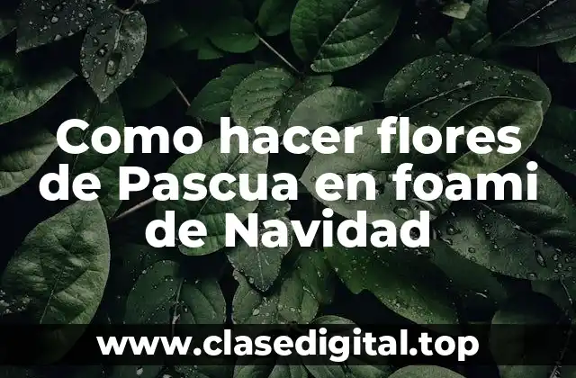 Flores de Pascua en foami de Navidad