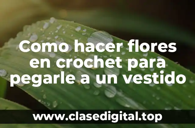 Flores en crochet para decorar un vestido