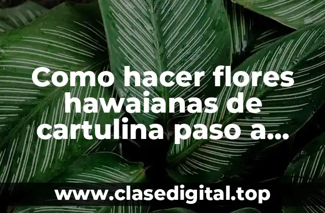 ¿Qué son las flores hawaianas de cartulina?