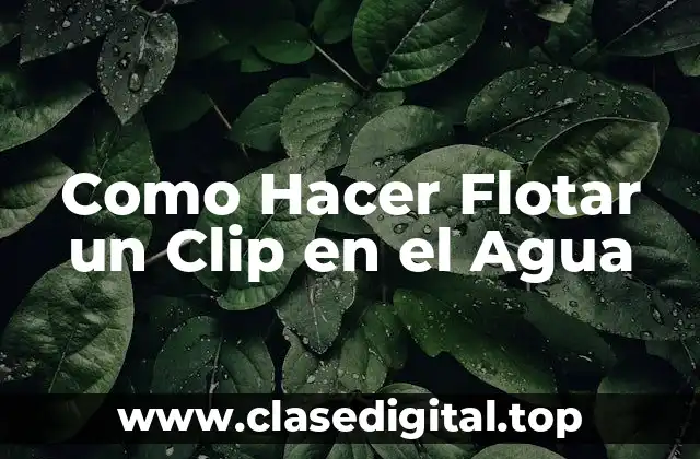 Como Hacer Flotar un Clip en el Agua