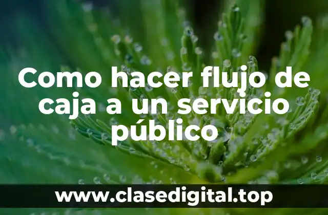 Como hacer flujo de caja a un servicio público
