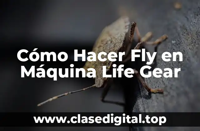 Cómo Hacer Fly en Máquina Life Gear