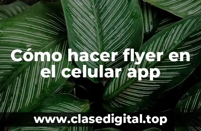 Cómo hacer flyer en el celular app