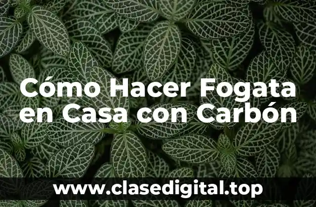 Cómo Hacer Fogata en Casa con Carbón
