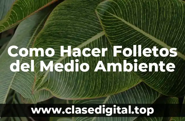 Como Hacer Folletos del Medio Ambiente