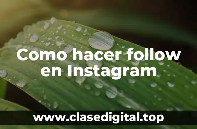 Como hacer follow en Instagram