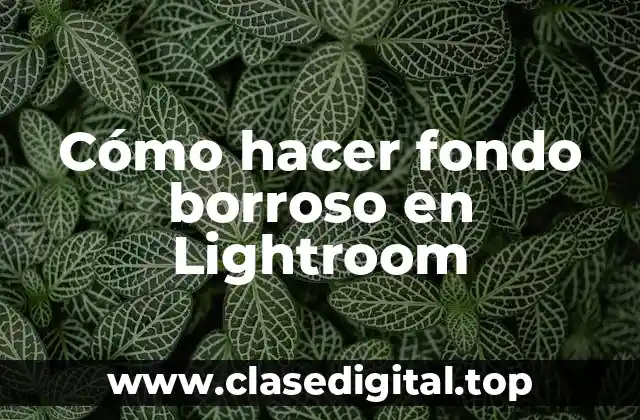 Cómo hacer fondo borroso en Lightroom