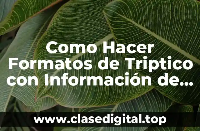 Como Hacer Formatos de Triptico con Información de VIH