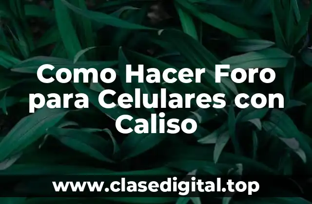 ¿Qué es un Foro para Celulares con Caliso?