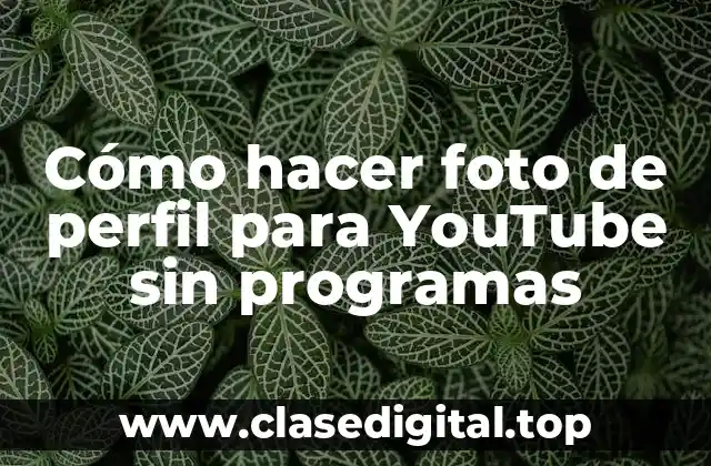 Cómo hacer foto de perfil para YouTube sin programas
