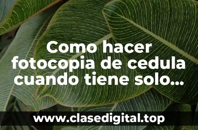 ¿Qué es una copia de identidad y para qué sirve?