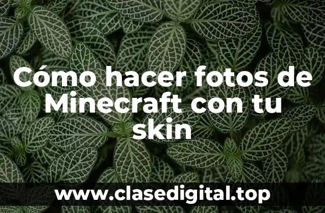 Cómo hacer fotos de Minecraft con tu skin