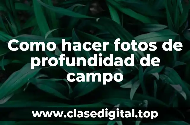 Como hacer fotos de profundidad de campo