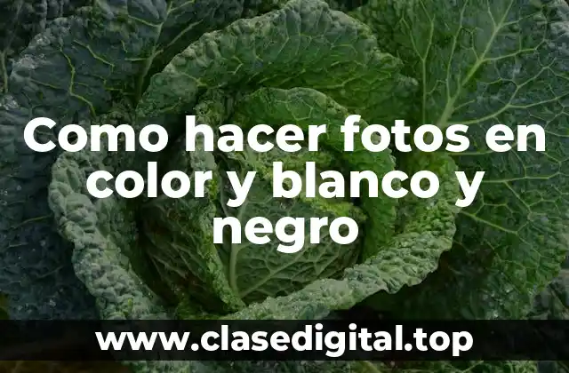 Como hacer fotos en color y blanco y negro