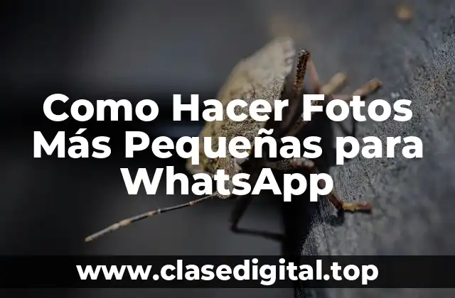 Reducir el Tamaño de Fotos para WhatsApp